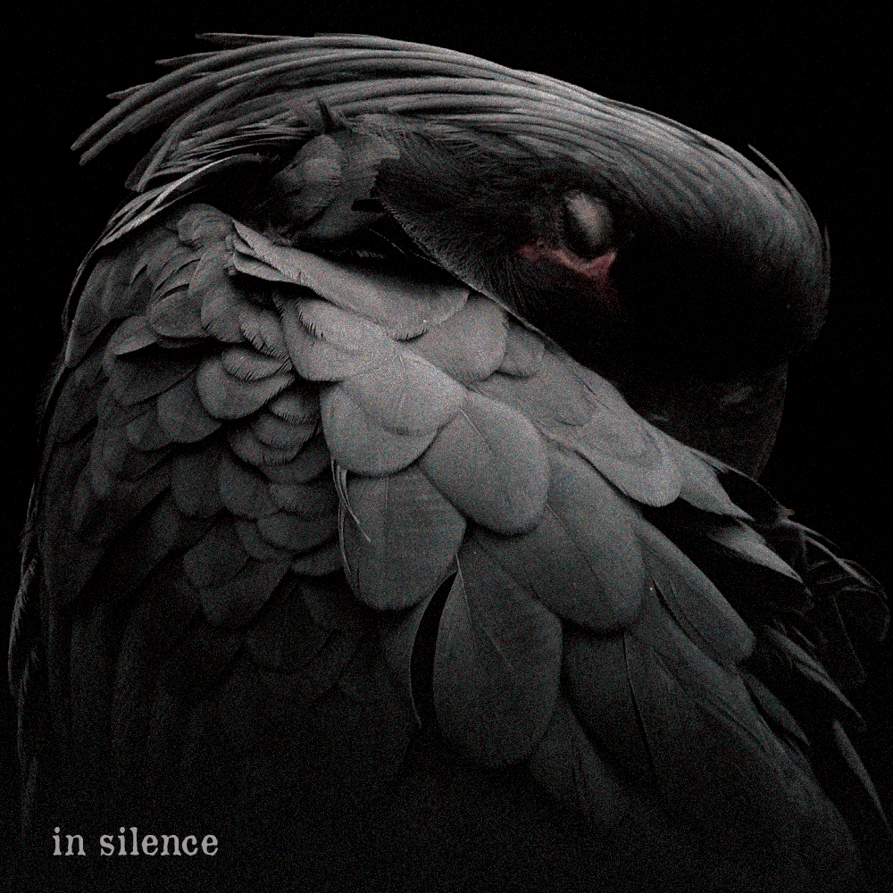 In Silence Cover